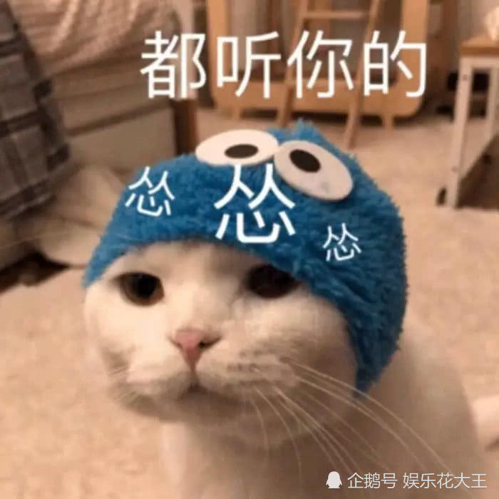 敲皮·情侣·秀逗表情包:靓仔千千万,实在不行咱就换!