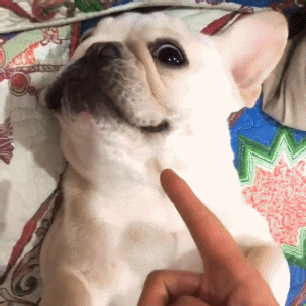 以为自己静态表情包啊!