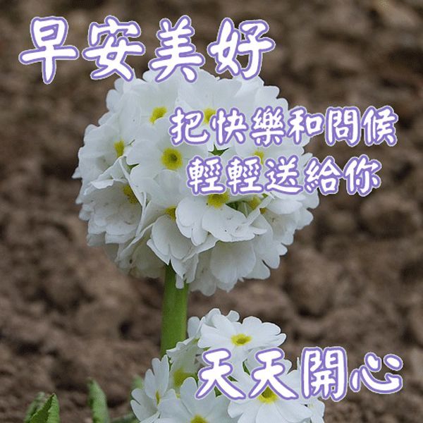 10月15日清晨最美早安祝福语动态图片,早上好祝福问候