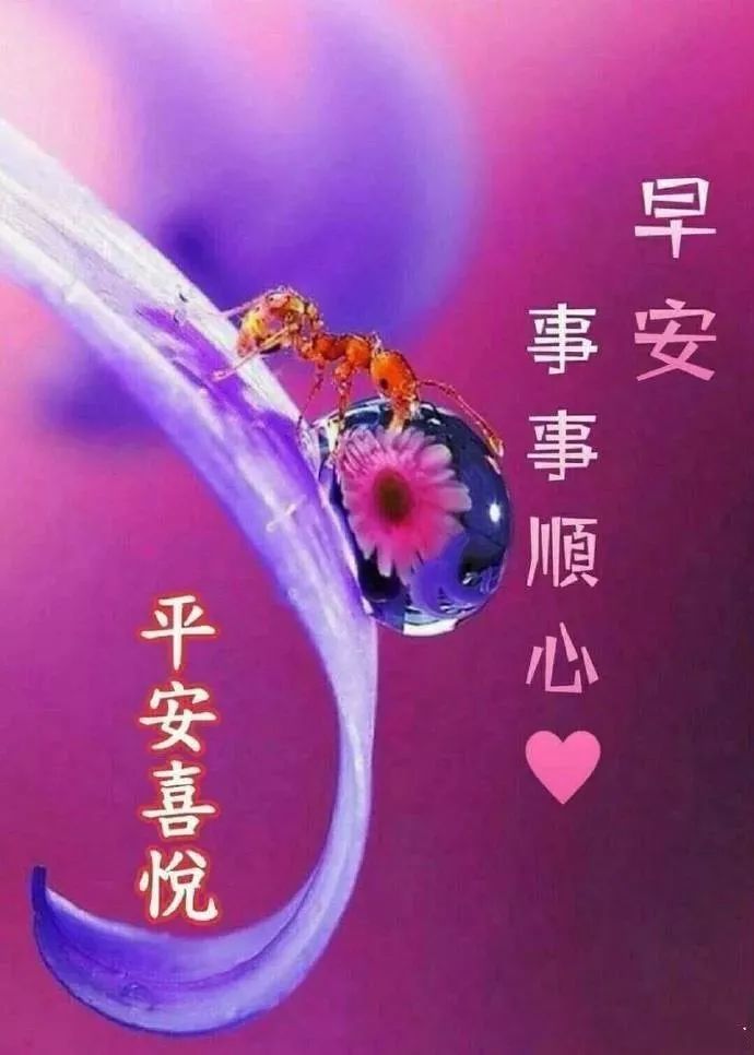 早上好冬季暖心祝福语,美好的一天开始了,愿你能向日葵一样,迎着阳光