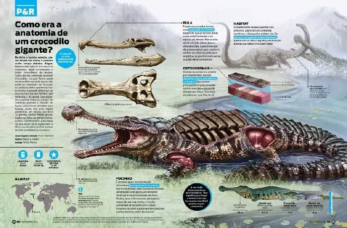 帝王肌鳄——已经灭绝的大型史前鳄鱼