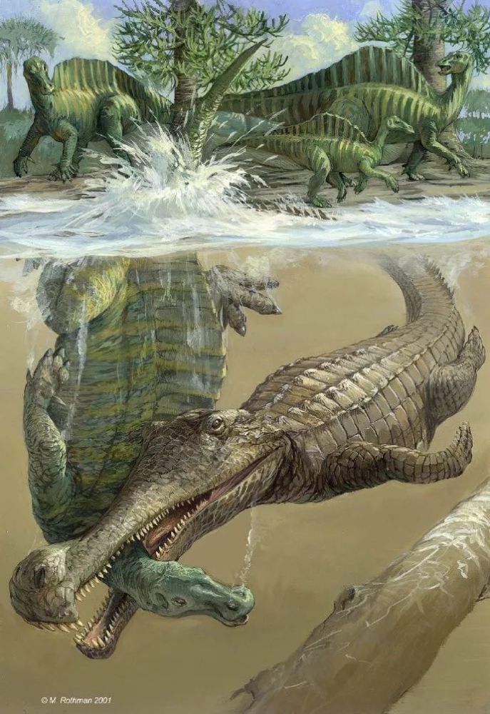 鳄鱼,灭绝,恐龙,化石