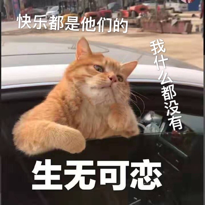 搞笑,表情包,囧图