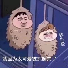 一组很丧的表情包,你最近有遇到什么不顺吗