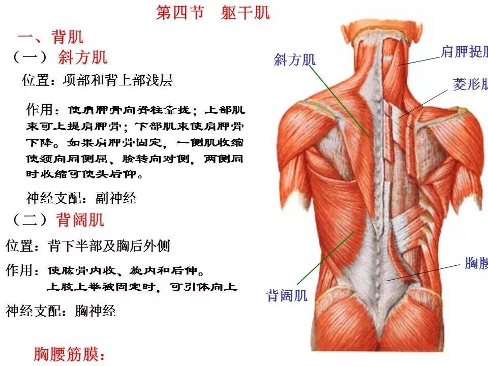 天天快报