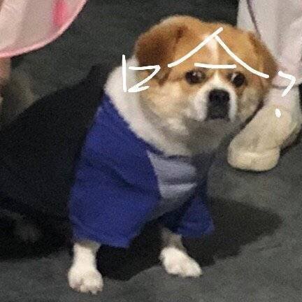 搞笑逗比表情包,一脸疑问