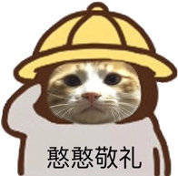 搞笑逗比表情包:憨憨敬礼