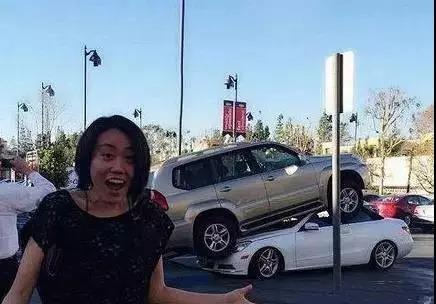 这幸灾乐祸的表情我也是醉了