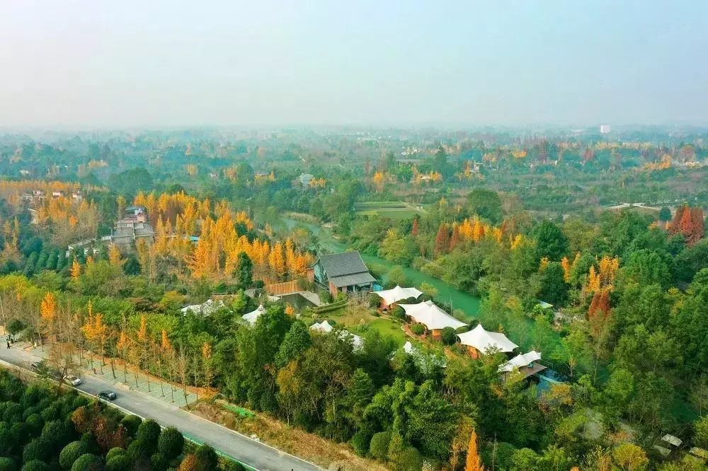 如约而至:2019成都温江寿安镇花木编艺文化旅游节暨花木编艺博览园