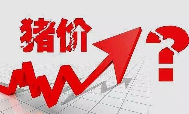 人口暴涨会发生什么_人口普查(3)