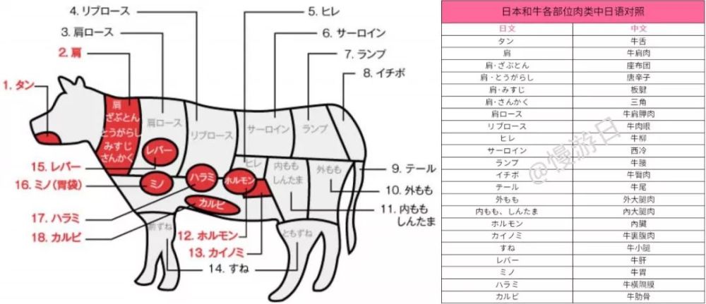 品尝烤肉必备!日本和牛各部位名称中日翻译对照 点餐更轻松