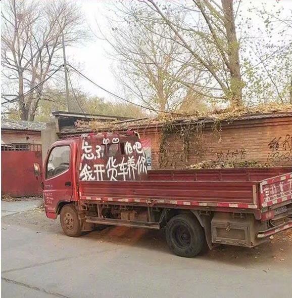 忘了他吧我开货车养你