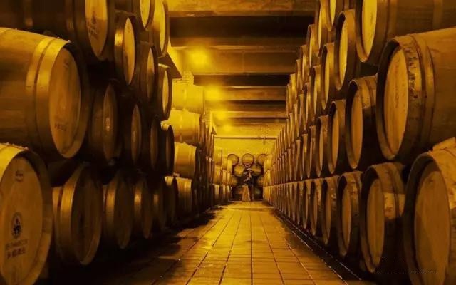 新疆五大葡萄酒庄,居然有三个就藏在天山脚下,你却不知道?