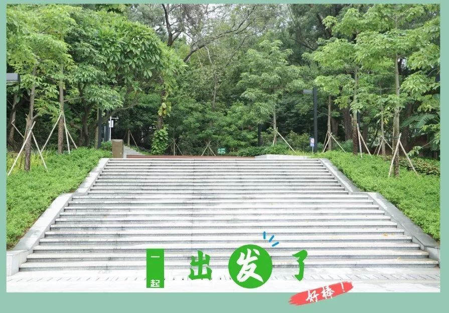 大雾岗森林公园,石湾,石湾君,佛山,公园