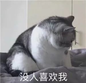表情包:不乐意就滚,别在这儿甩脸子-看点快报