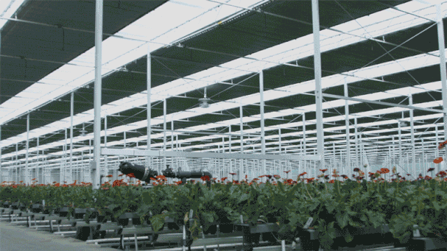 对于一些连栋温室大棚都是机械化操作,但是对于一些传统的冬暖棚和