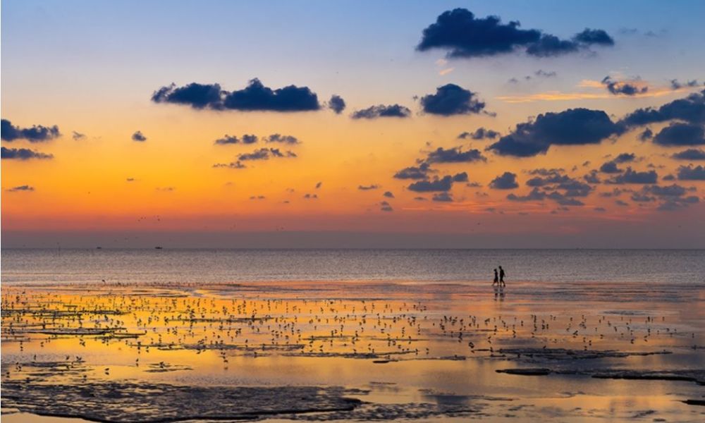 盐城:穿越春夏秋冬的黄海湿地