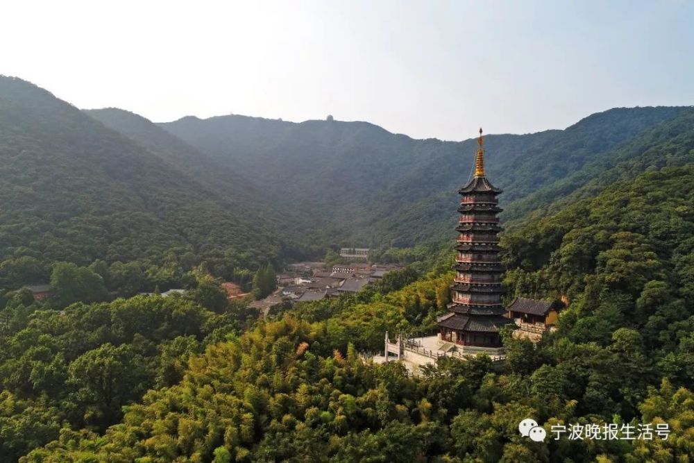 台风洗礼后的天童寺依然美得惊艳!