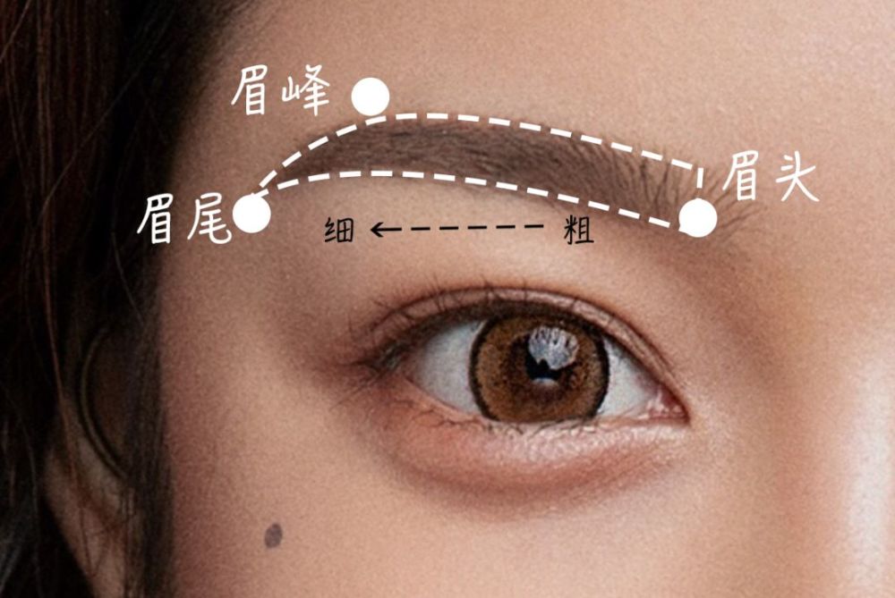 step  :按照眉头眉峰眉尾勾勒眉形, 眉底线的弧度要稍大于上面,眉尾