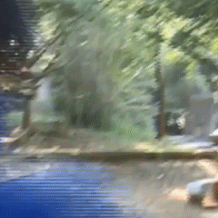 巴啦啦小魔仙游乐王子表情包老奶奶你坐稳了我要开车了