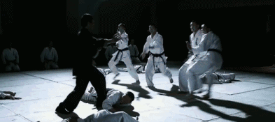 宗师那么多,为什么偏偏《叶问》成功了?