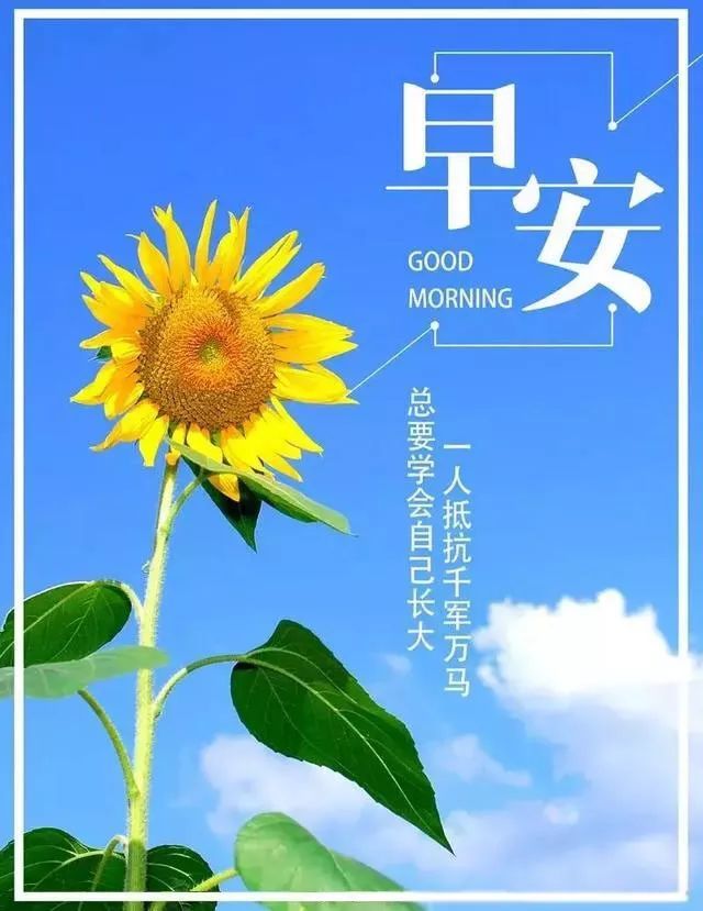 早安心语朋友圈正能量句子摘抄 正能量早安短句配图