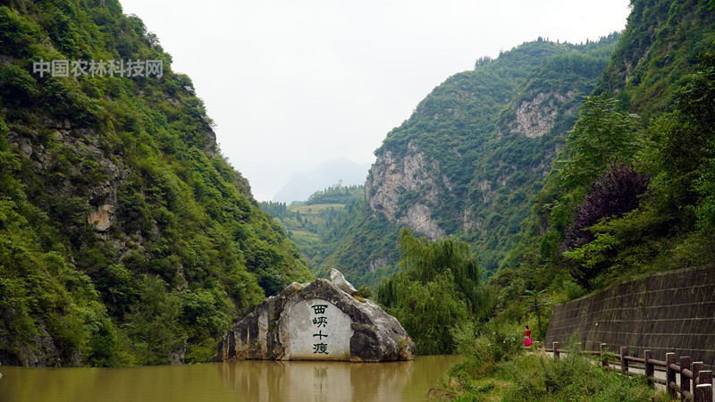 净土陇南:成县西狭颂景区吃,住,游全攻略,建议收藏