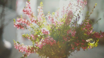 350_197gif 动态图 动图