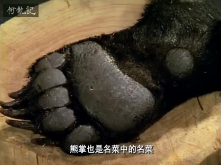 货真价实黑熊掌