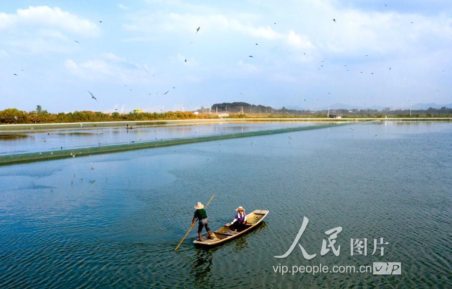 庐江县,泥河镇,安徽,合肥,小龙虾,饲料