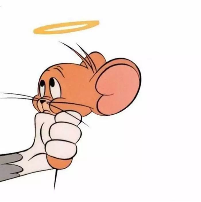 超火"汤姆猫"情侣头像:万般皆苦,唯有自渡!
