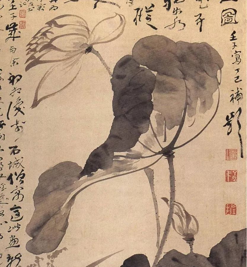 《每日一图》清 高凤翰《左手画荷花图》