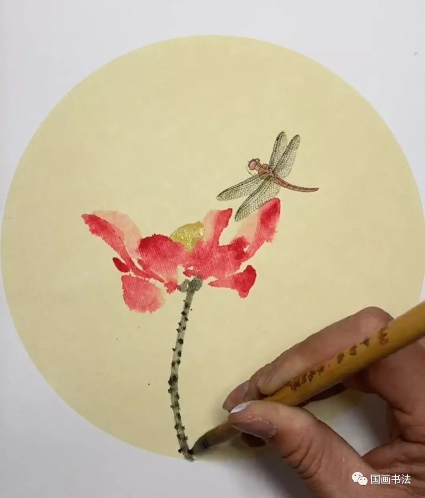 国画《荷花蜻蜓》的画法,附各种名贵莲花图片