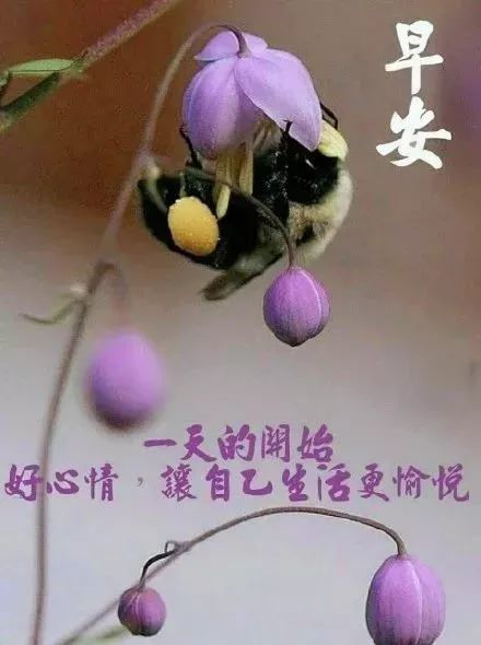 10月12日朋友圈最棒的早上好问候表情动态图片,早上好