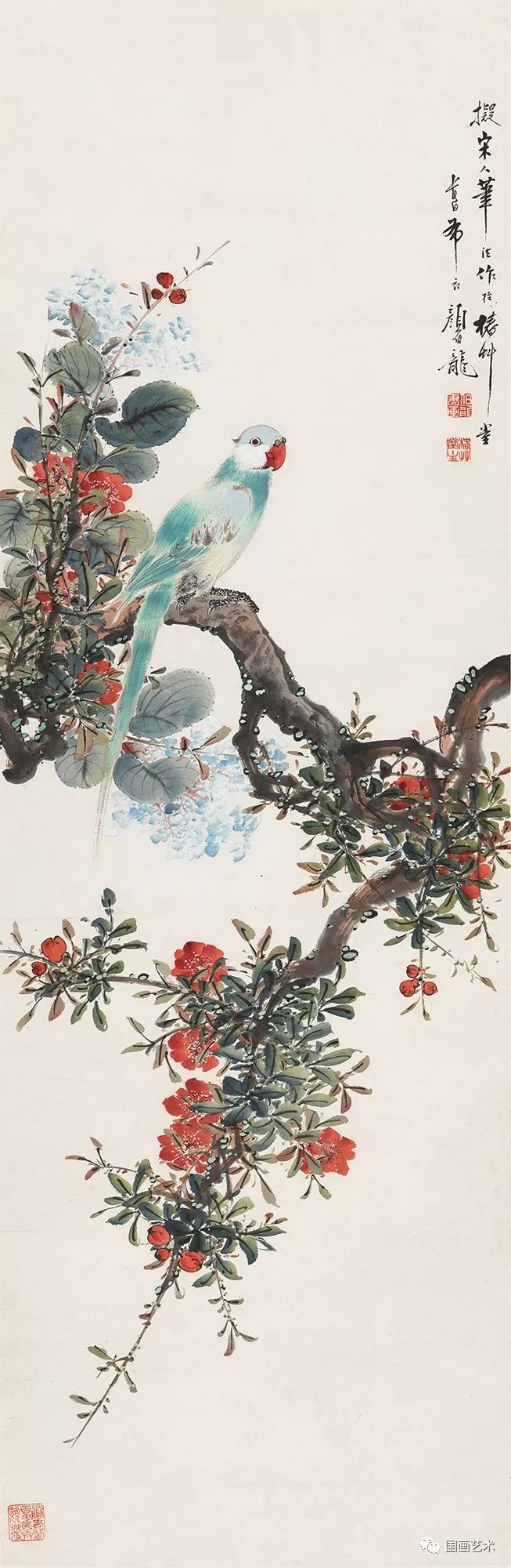 颜伯龙 榴花鹦鹉