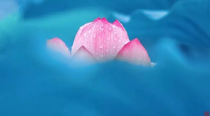 暗香如沁,禅意篇,我在人间即是诗