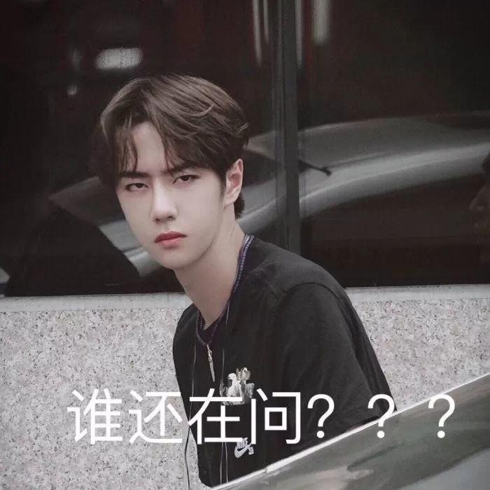 王一博搞笑表情包:他走了,剩下的是无