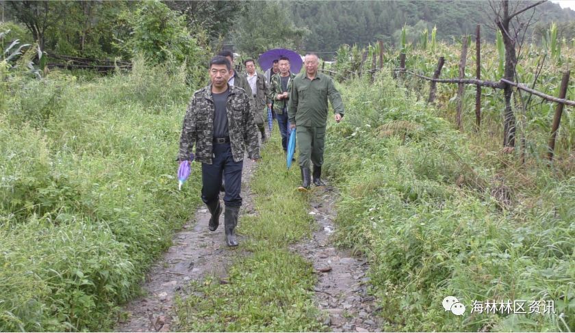 海林林业局有限公司奋斗林场召开防汛工作会议