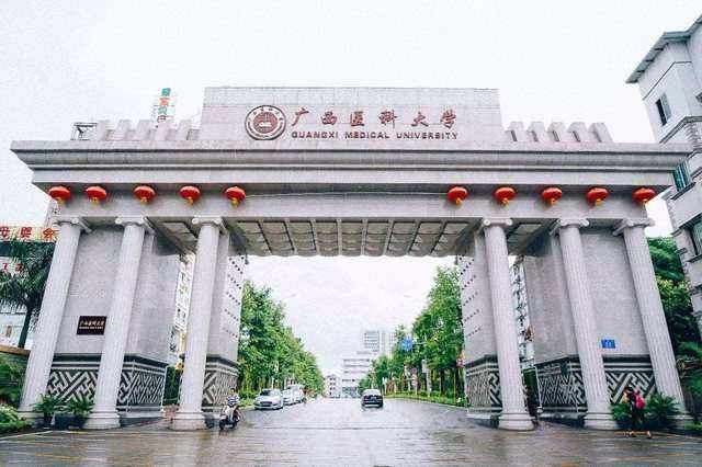 广西医科大学,211,桂林电子科技大学,广西师范大学,广西,录取分数线