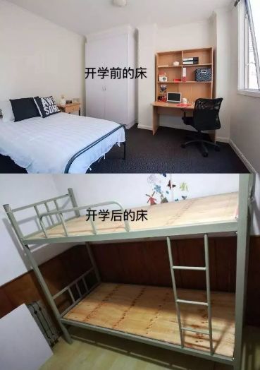 胖老总公寓_爱情公寓张伟(2)
