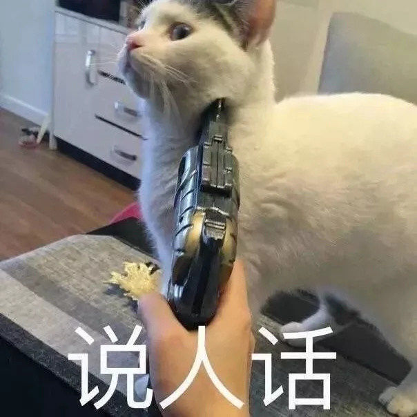 肥宅猫,女朋友,搞笑,猫咪,卖萌