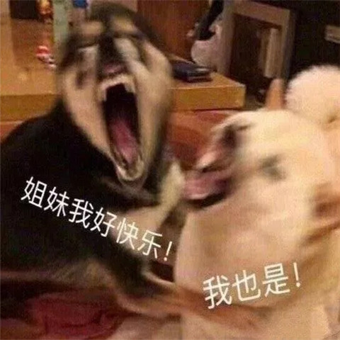 沙雕爆笑表情包图集:宝贝,我困了快摸摸头哄我睡觉