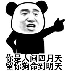 熊猫怼人表情包:我们不一样