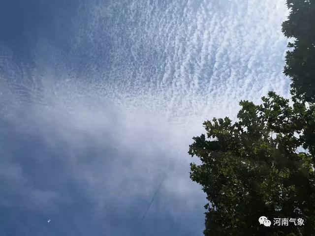 这也太舒服了!河南天气开启"复制粘贴"模式,但这点需提防