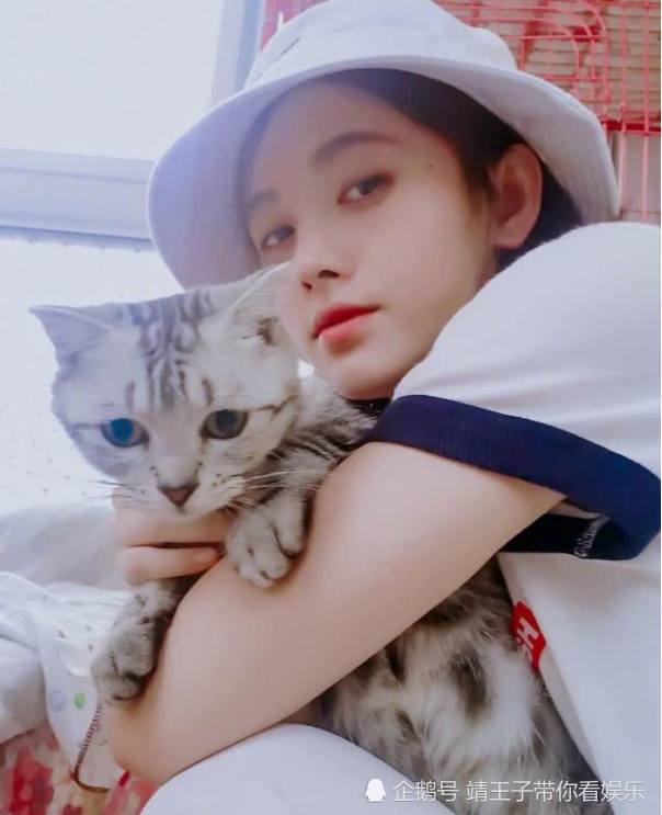 看到鞠婧祎抱猫的照片,粉丝:我太难了