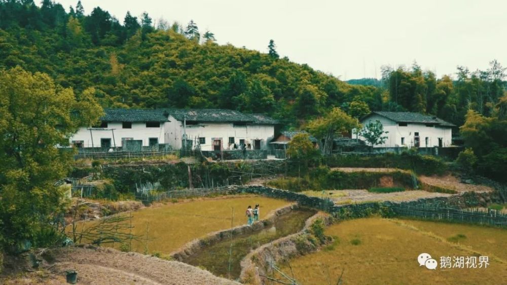 鹅湖镇大美宣传片来袭!想不到景德镇居然有这么美的地方