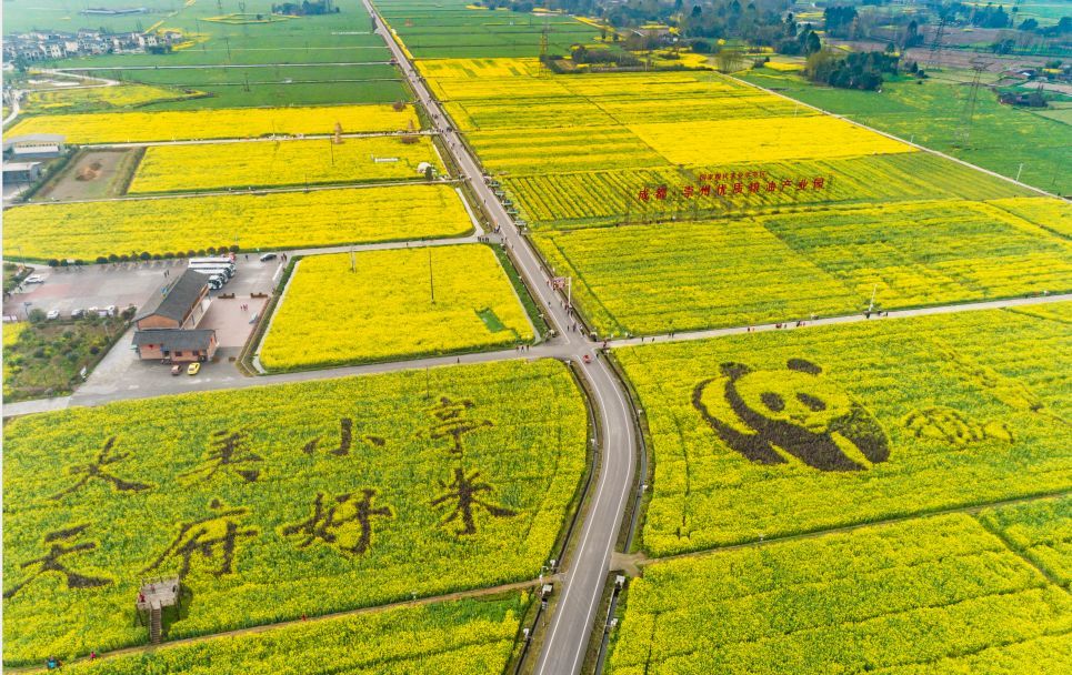 阡陌变通途 崇州交通巨变在"路"上