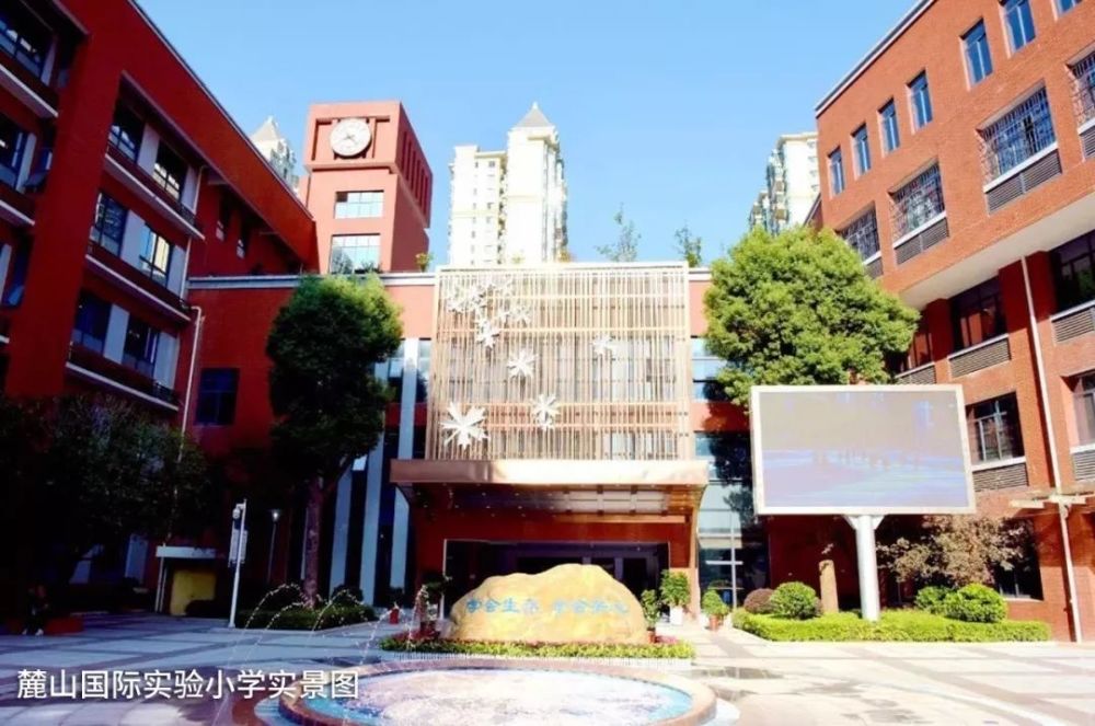 麓山国际实验小学,株洲,红旗路,小学,长沙