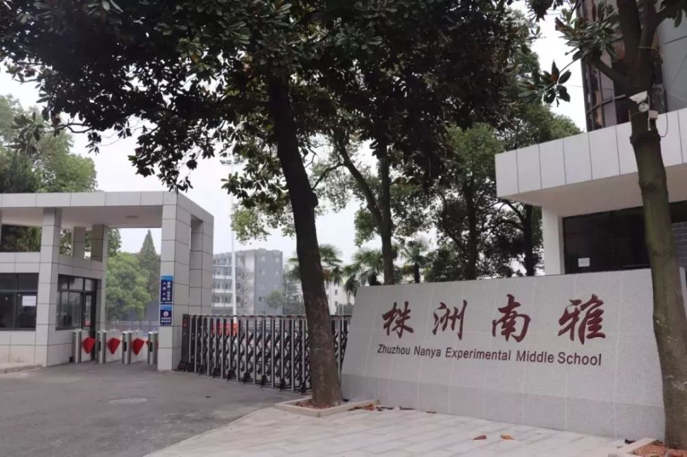 麓山国际实验小学,株洲,红旗路,小学,长沙