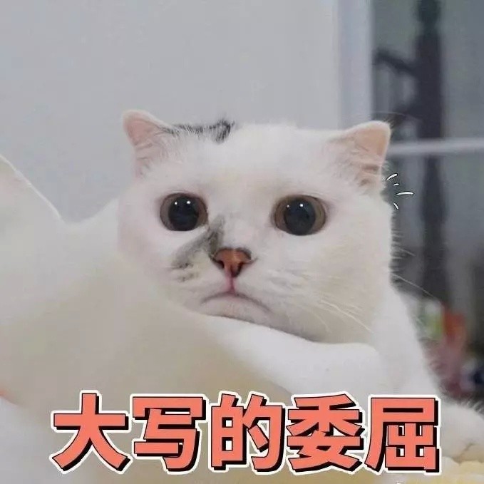 可爱猫咪表情包:大写的委屈